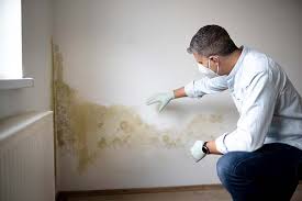 Best Mold Damage Restoration  in Summerville, GA